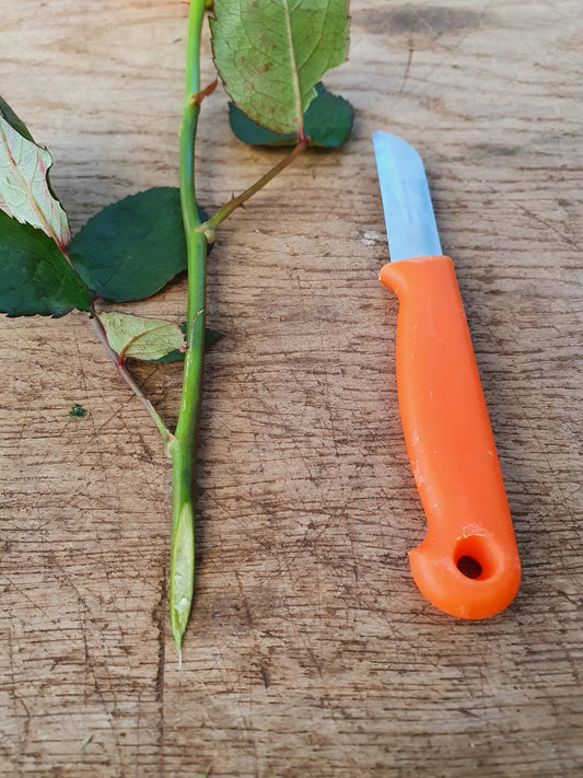 Bloemen aansnijden