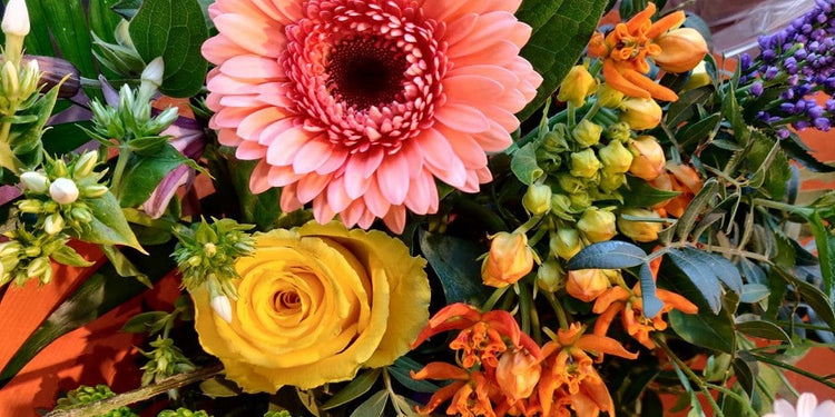 Verse bloemen en boeketten in verschillende kleuren en stijlen – Aan de Zeven Alleetjes Zwolle