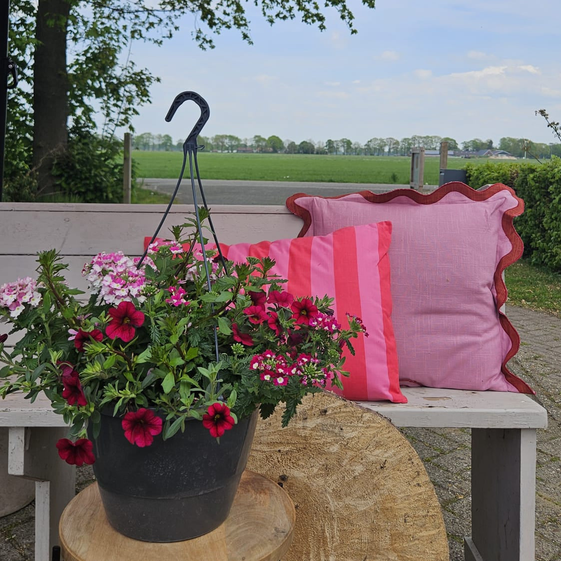 Festival colors hangpot