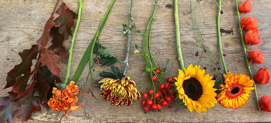 Herfst bloemen