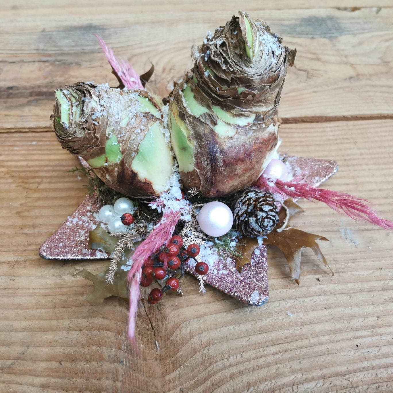 Amaryllisbol op ster close