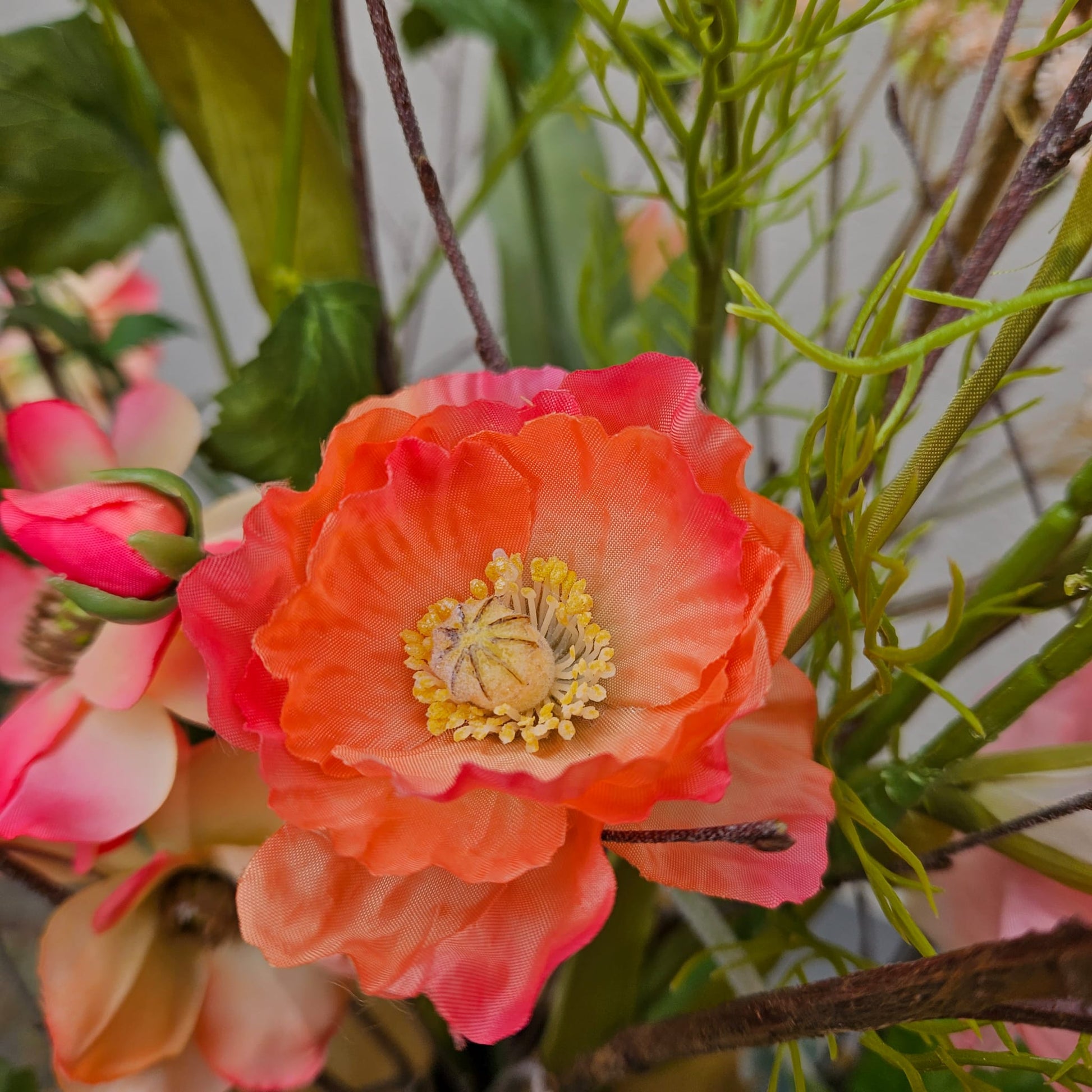 Close up Papaver oranje