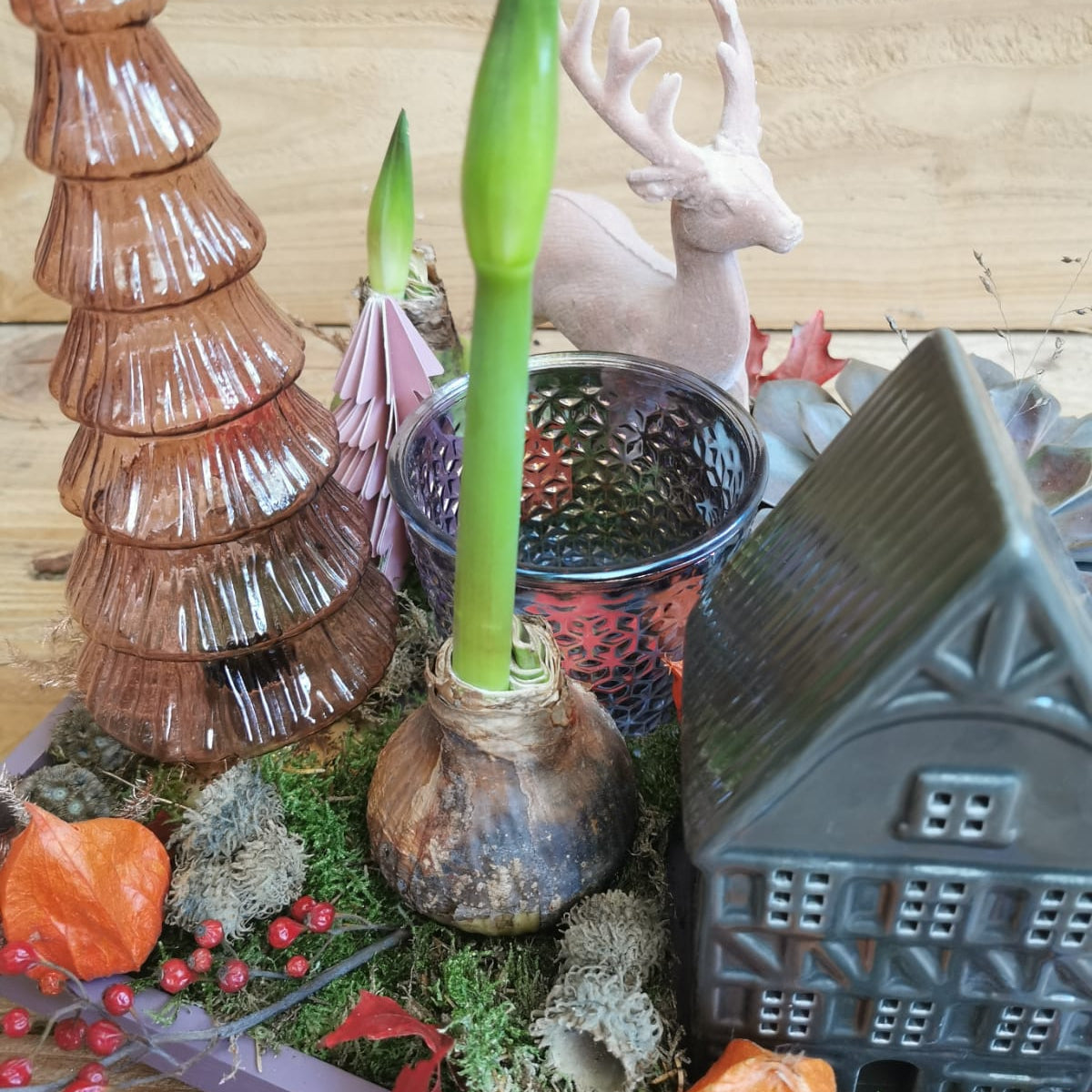 Kerst tafereel close