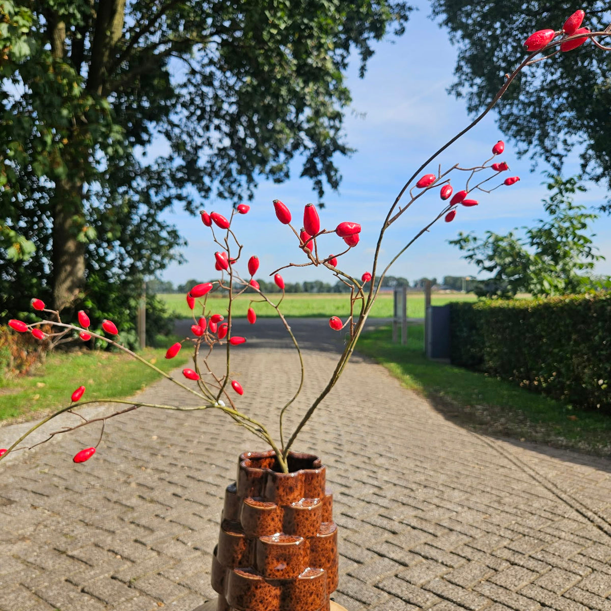 Rozenbottel tak