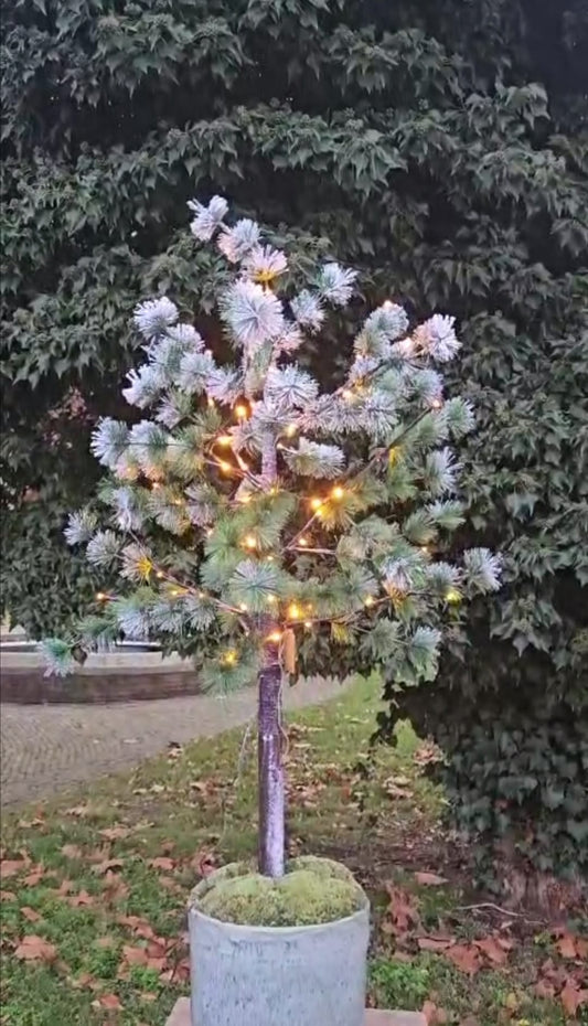 Zijden kerstboom groot natuurlijk