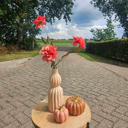 Zonnig najaar